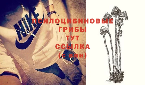 mix Верея
