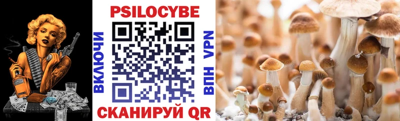 где купить наркоту  Елец  Галлюциногенные грибы прущие грибы 