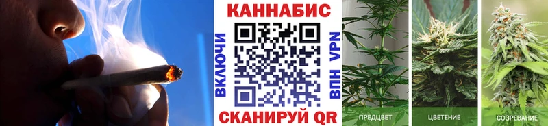 Конопля тримм  мега онион  Елец 